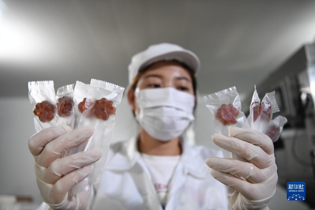 手机庄闲分析软件
